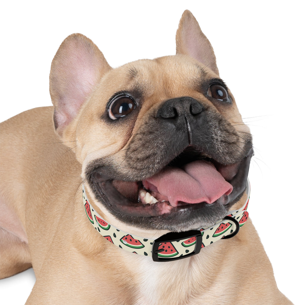 Watermelon Print Collar