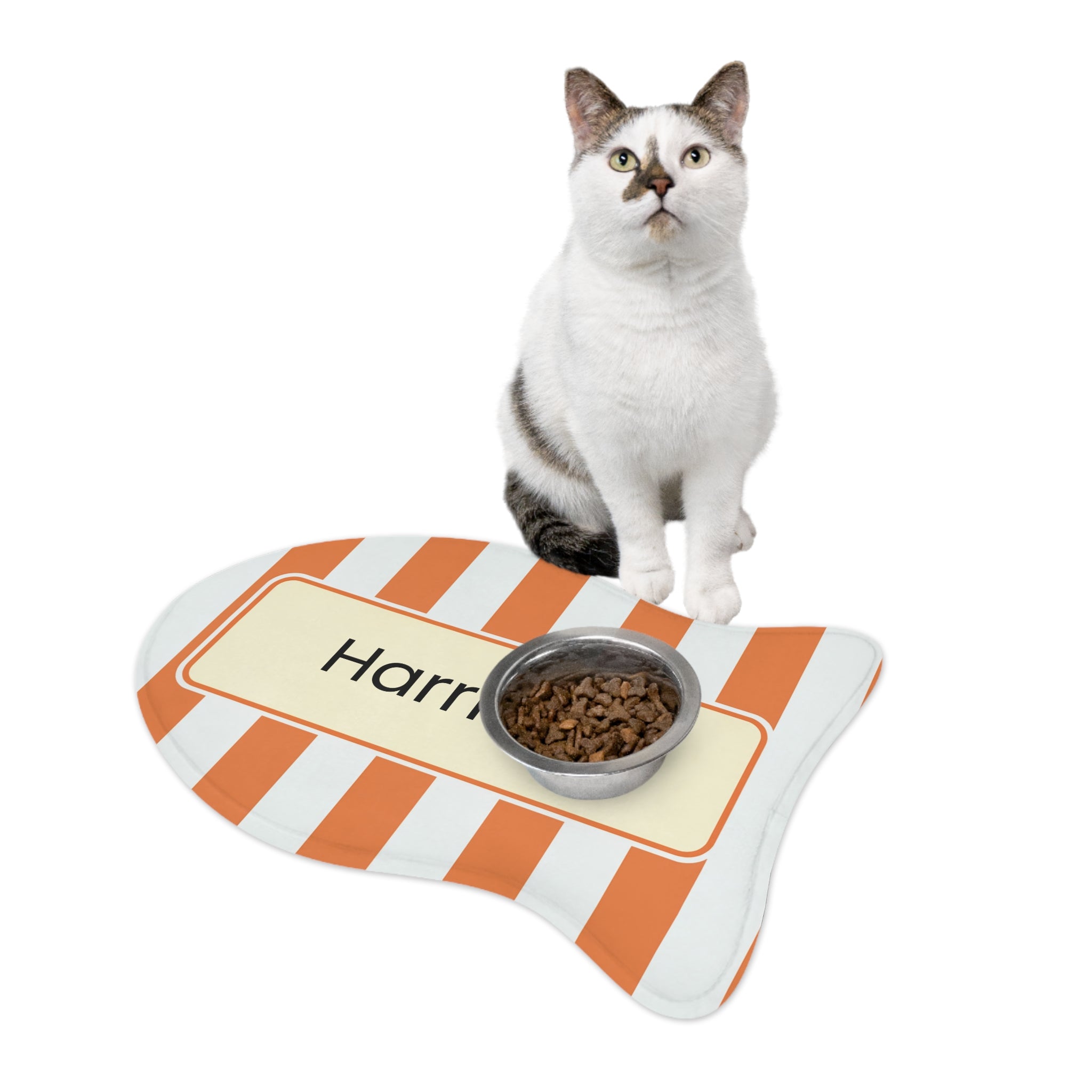 Orange Personalized Striped Pet Feeding Mat