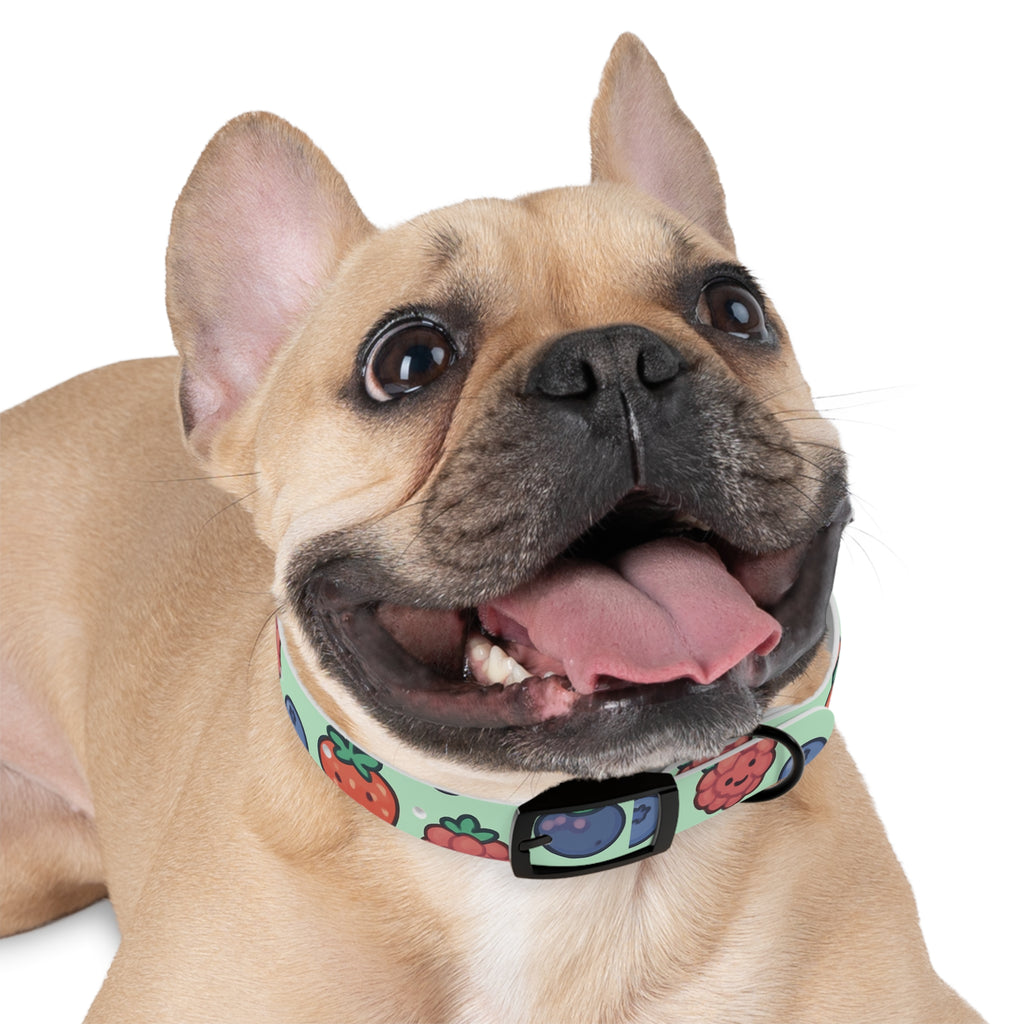 Merry Berry Dog Collar