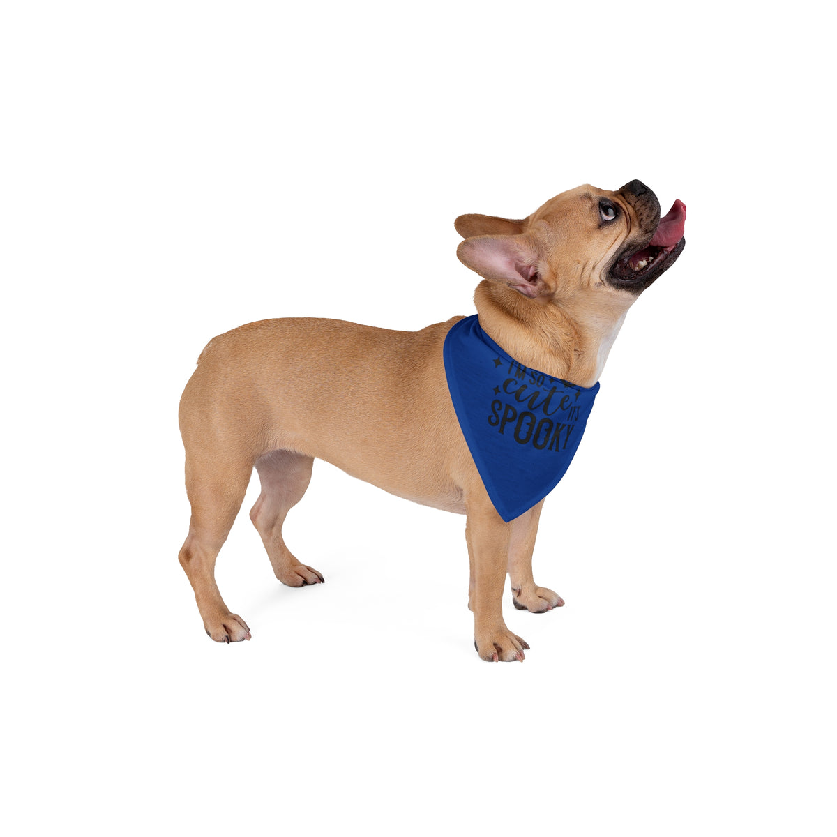 Spooky Cute Pet Bandana