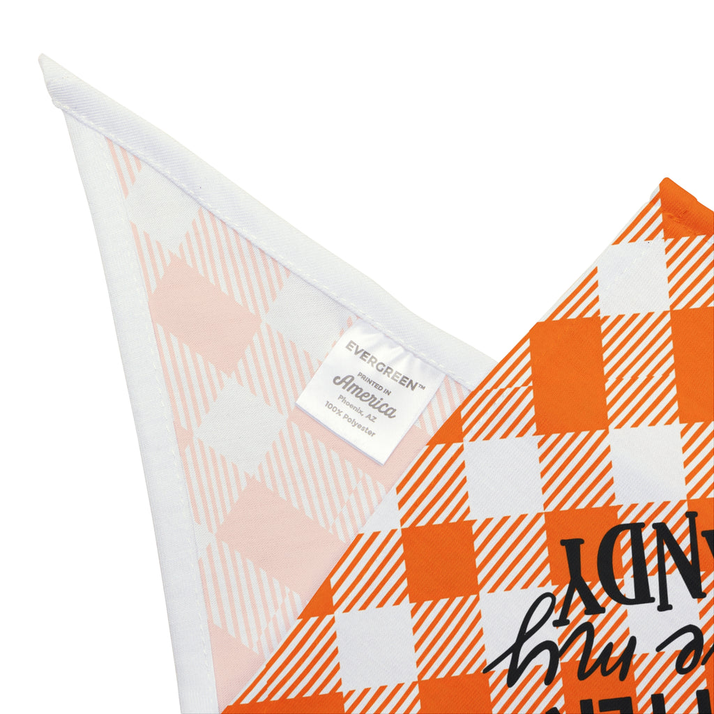 Orange Pet Bandana