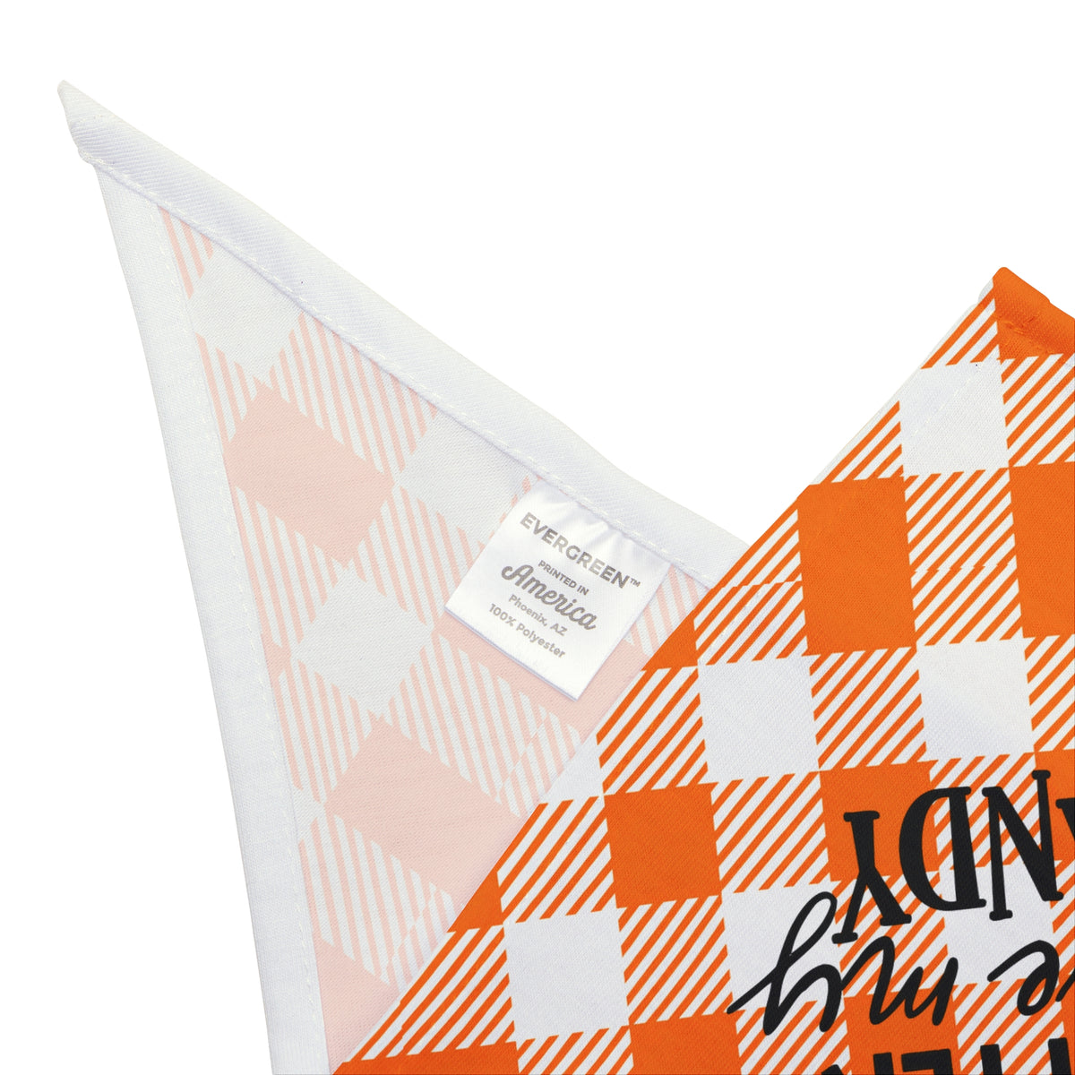 Orange Pet Bandana
