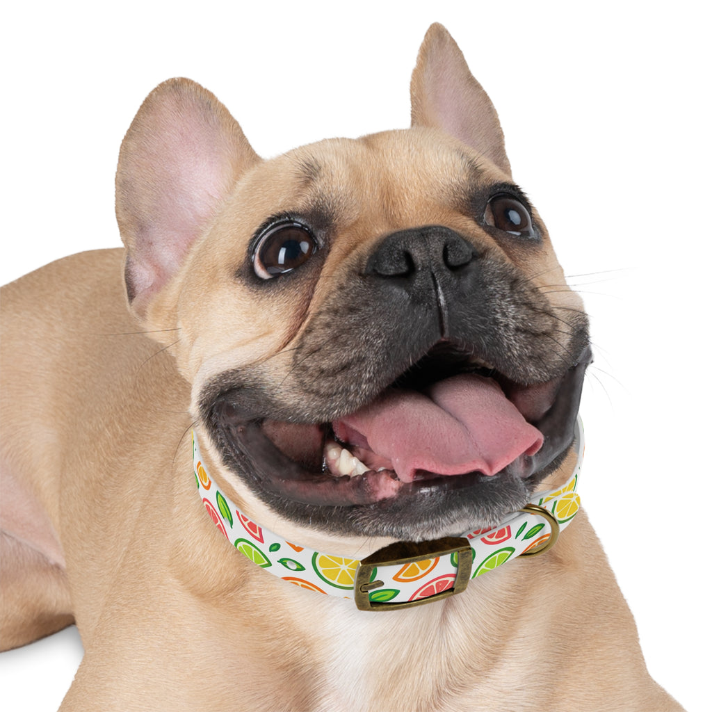 Citrus Spalsh Collar