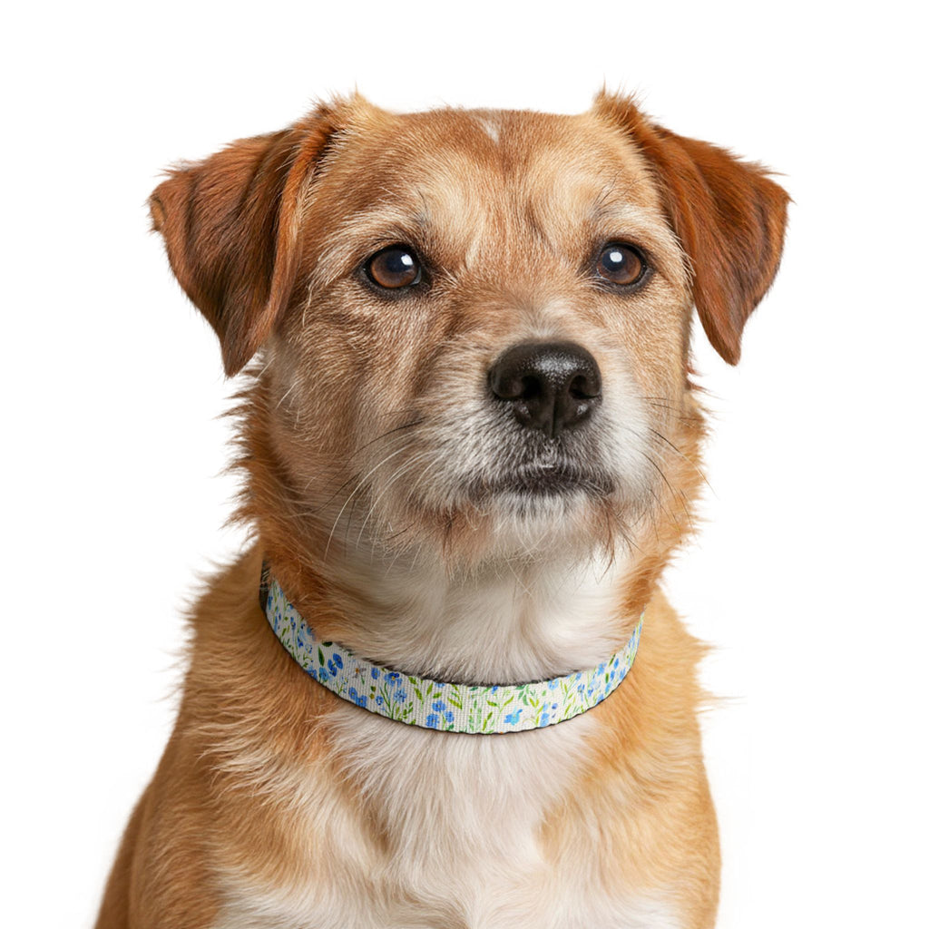 Forget-Me-Not Floral Clip-On Pet Collar