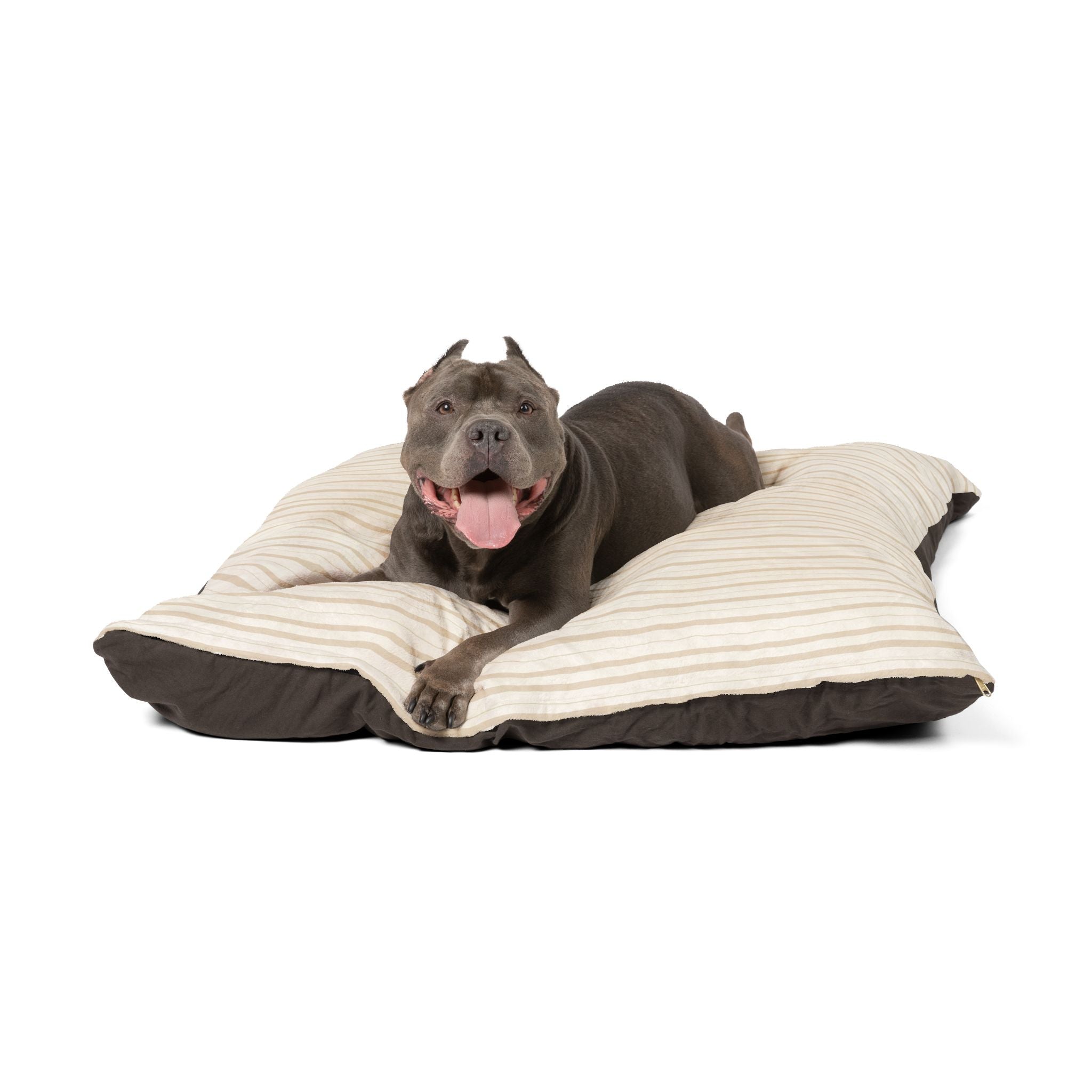 Cream Cloud Comfort Pet Bed