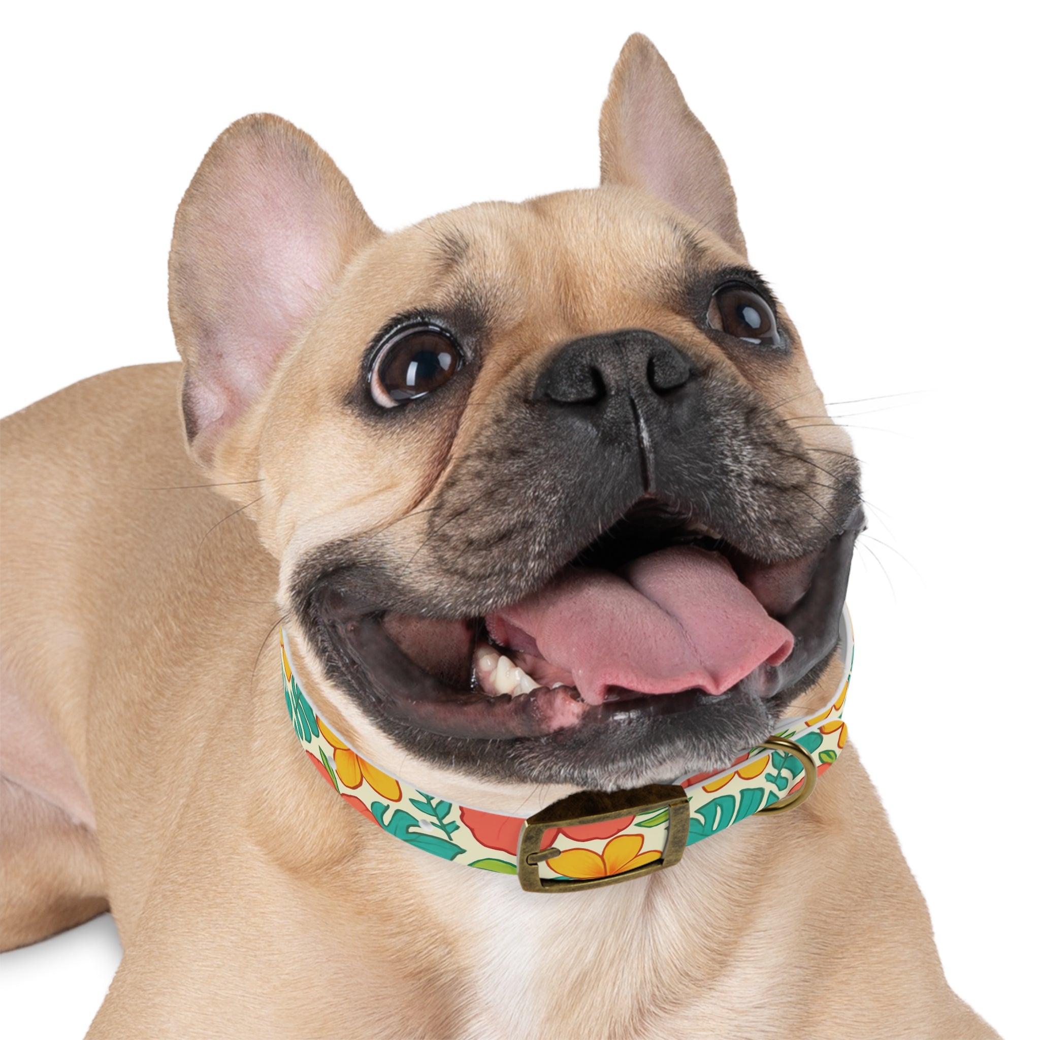 Hawaii Style Colorful Collar