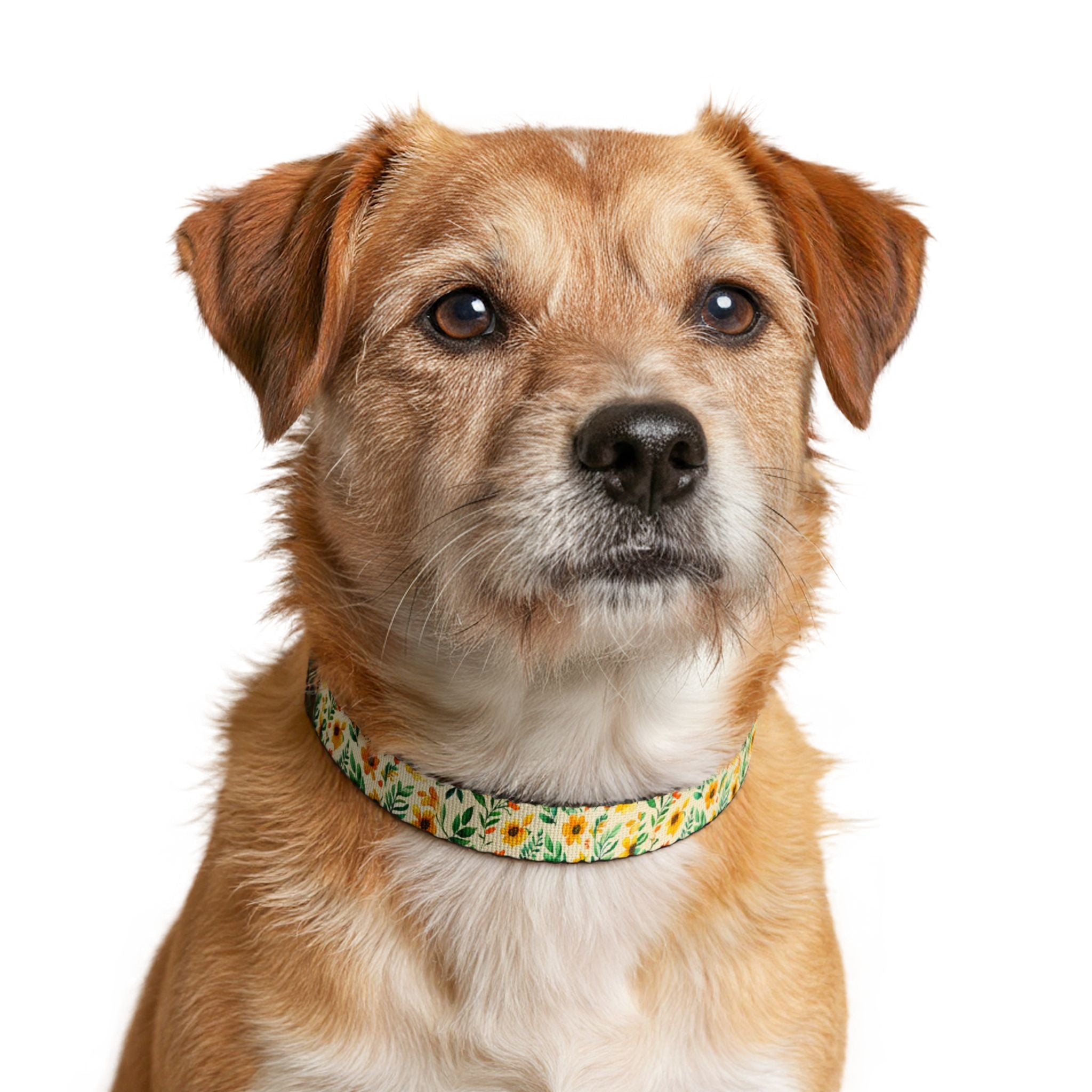 Sunflower Clip-on Pet Collar