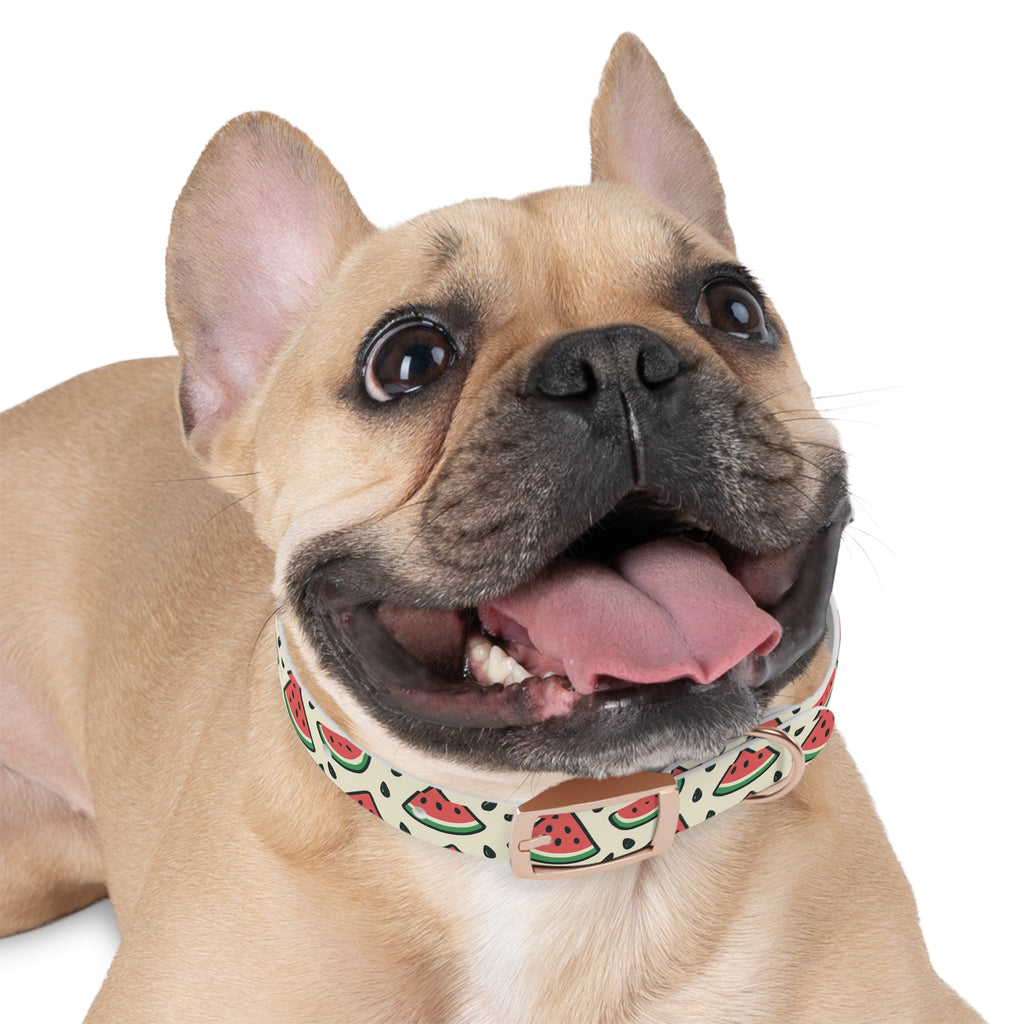 Watermelon Print Collar