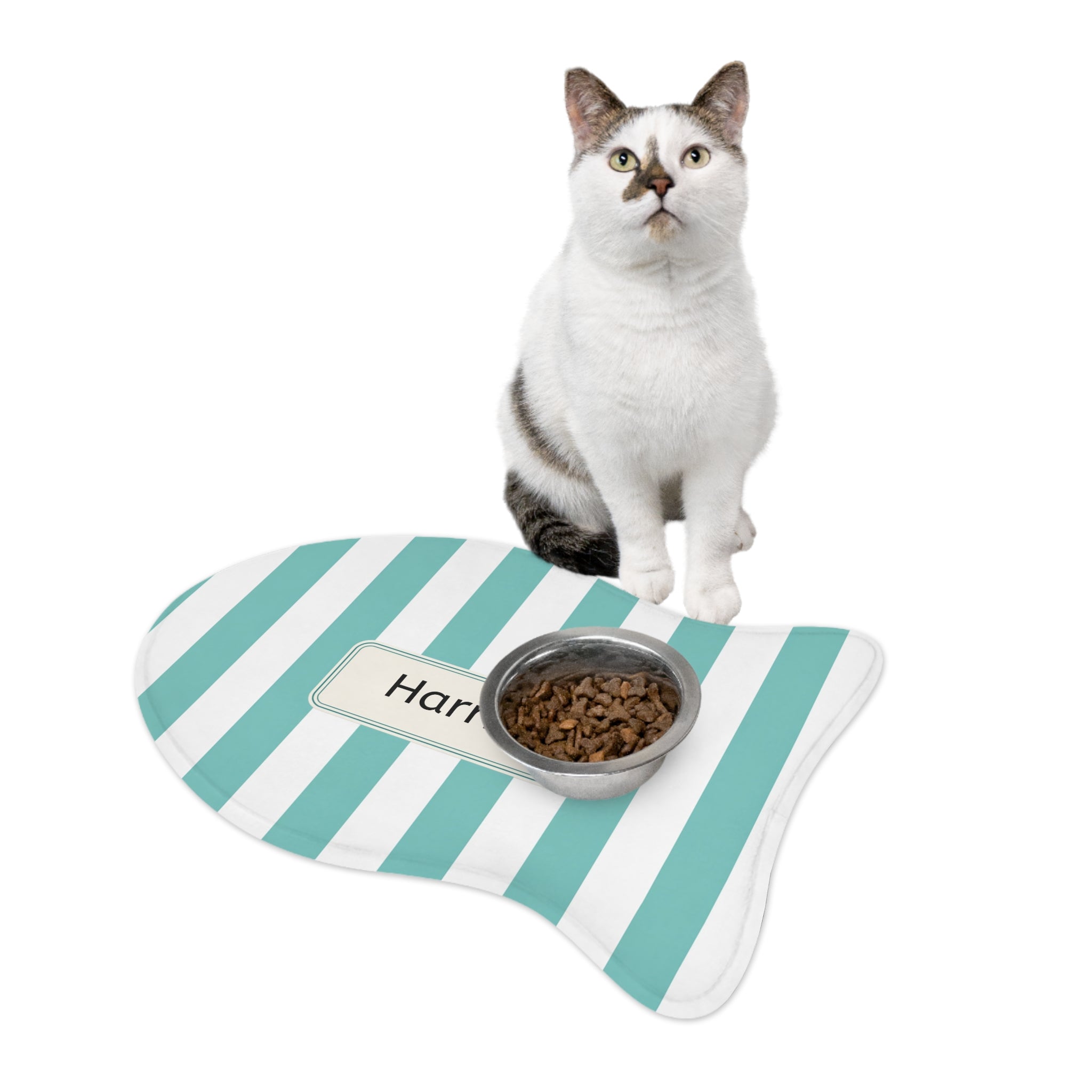 Personalized Teal Pet Food Mat