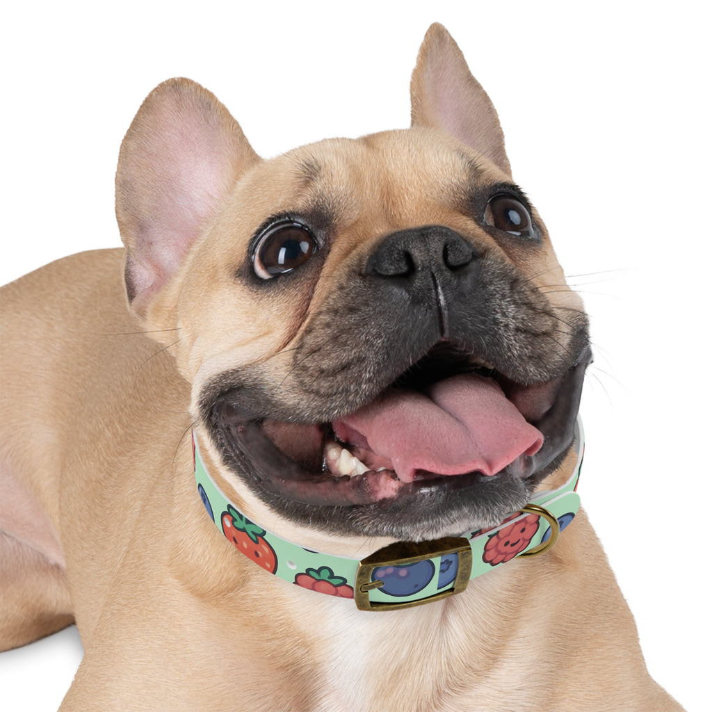 Merry Berry Dog Collar