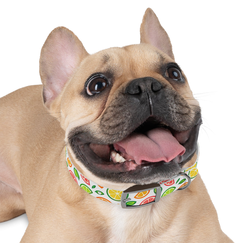 Citrus Spalsh Collar