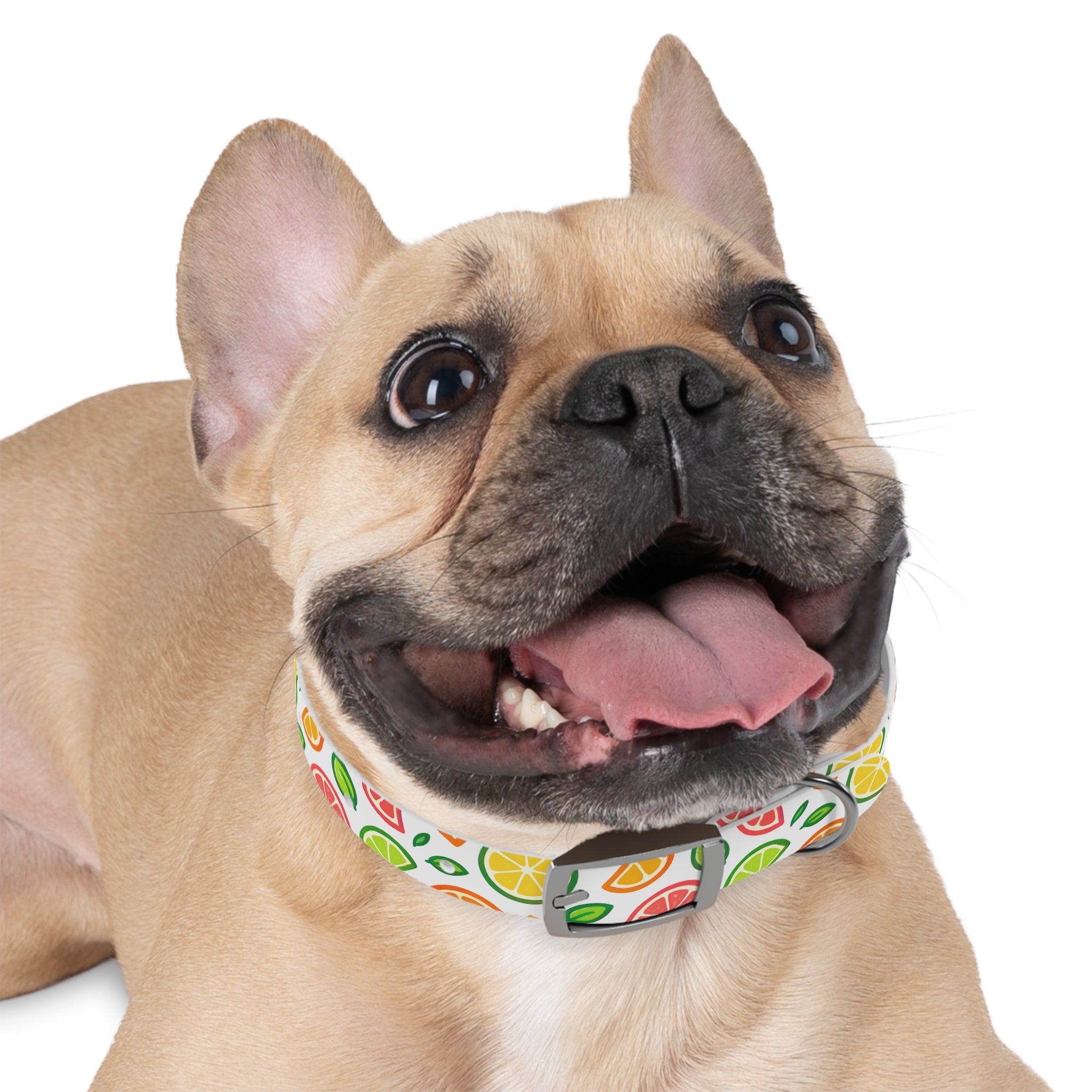 Citrus Spalsh Collar