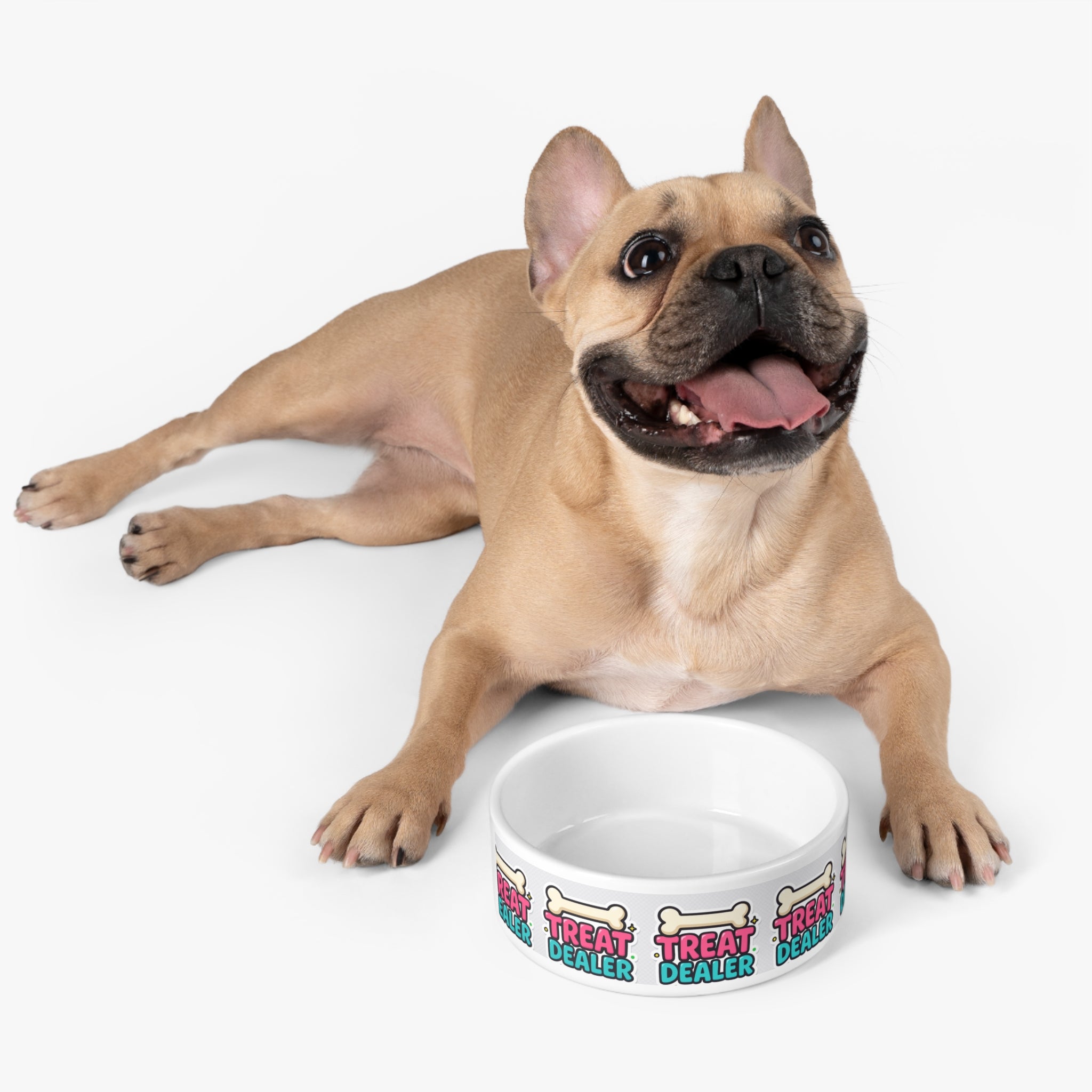 Fun Treat Dealer Pet Bowl