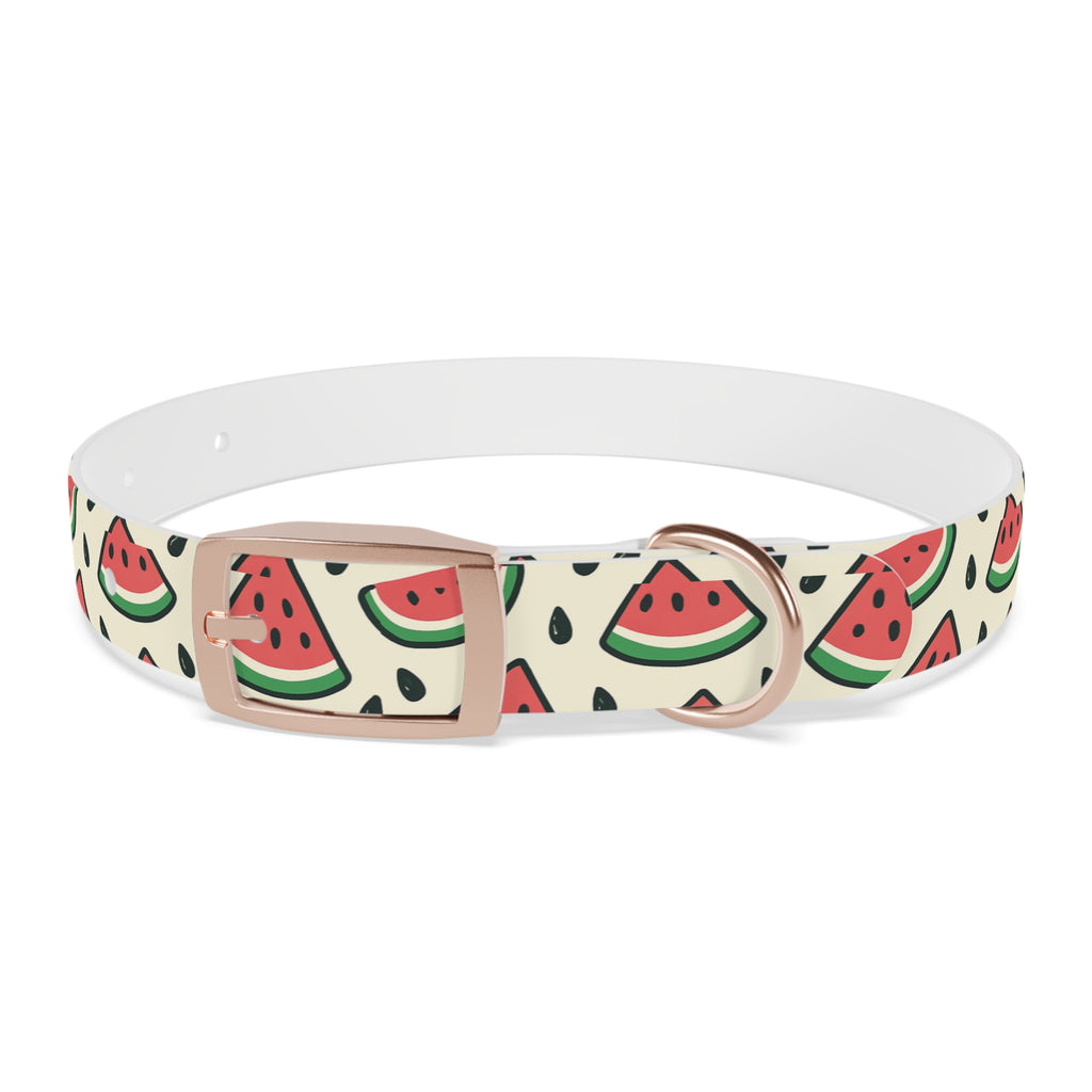 Watermelon Print Collar