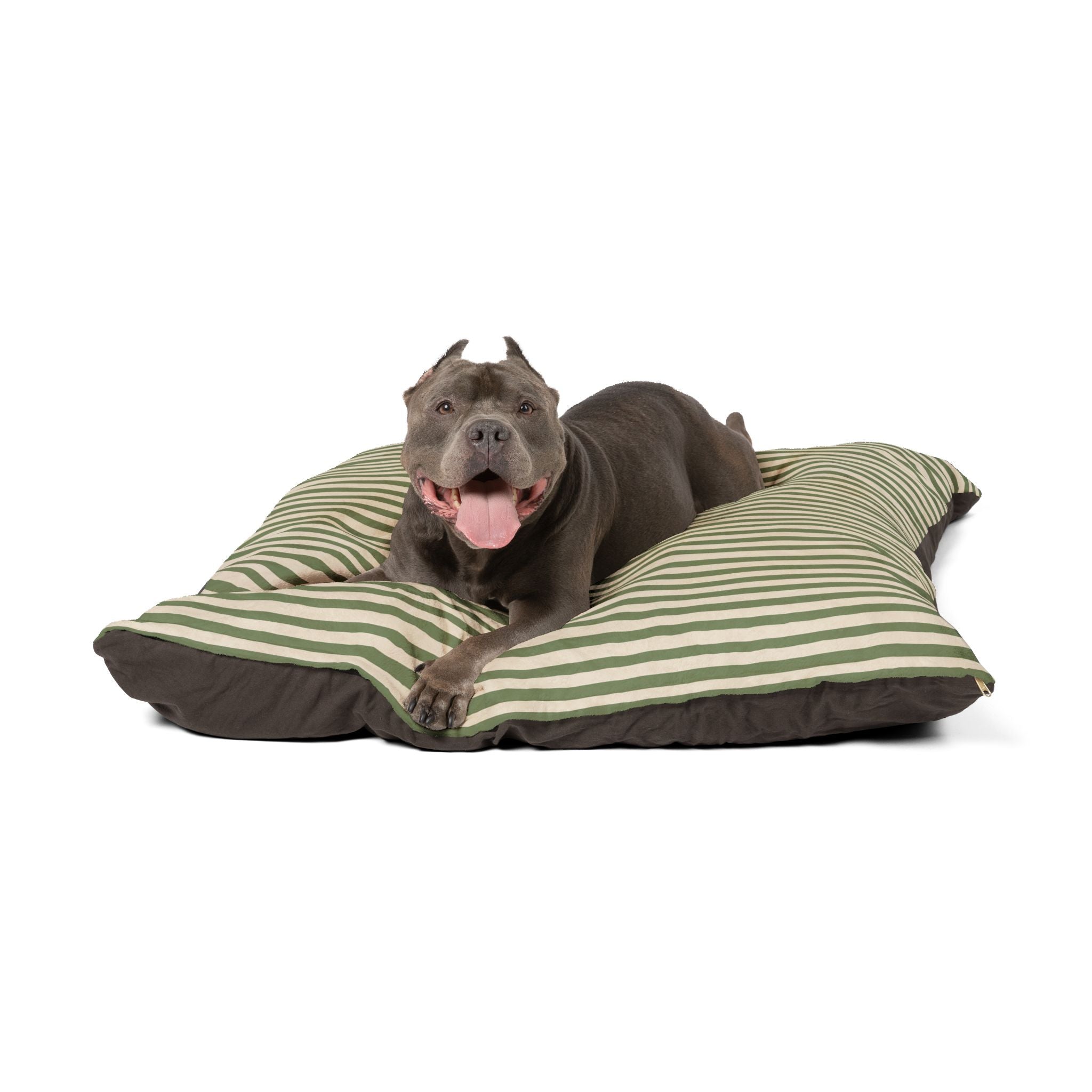 Olive Green Striped Comfort Pet Bed — Cozy Dog & Cat Cushion