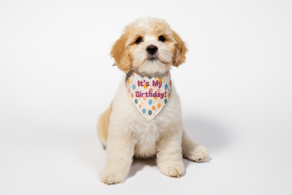 "It's My Birthday!" Balloon Print Clip-On Pet Bandana