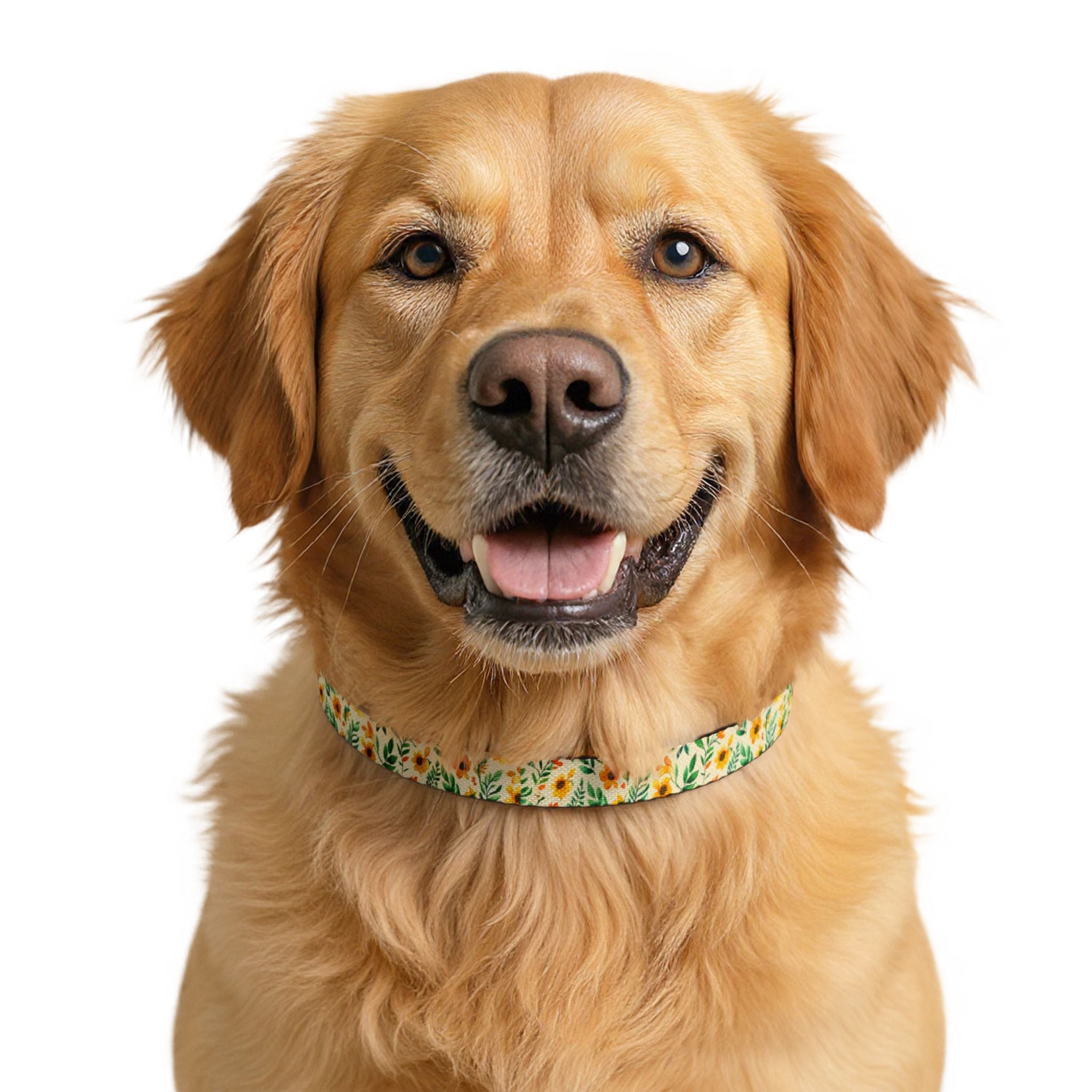 Sunflower Clip-on Pet Collar