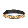 Floral Spring Clip-On Pet Collar — Orange Blossom Pattern