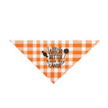 Orange Pet Bandana