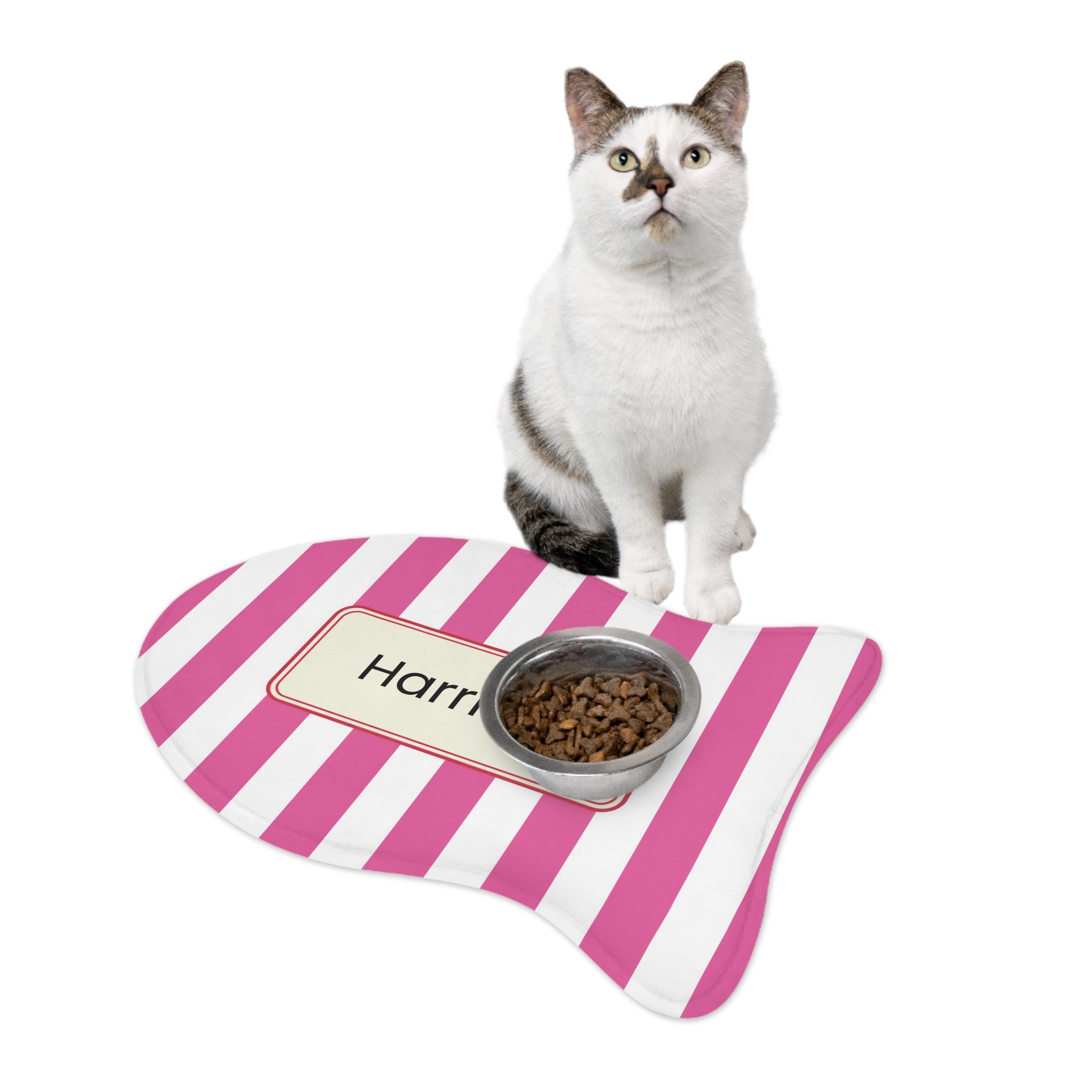 Personalized Pink Striped Pet Feeding Mat