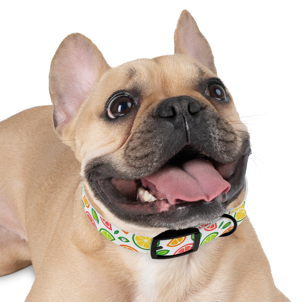 Citrus Spalsh Collar