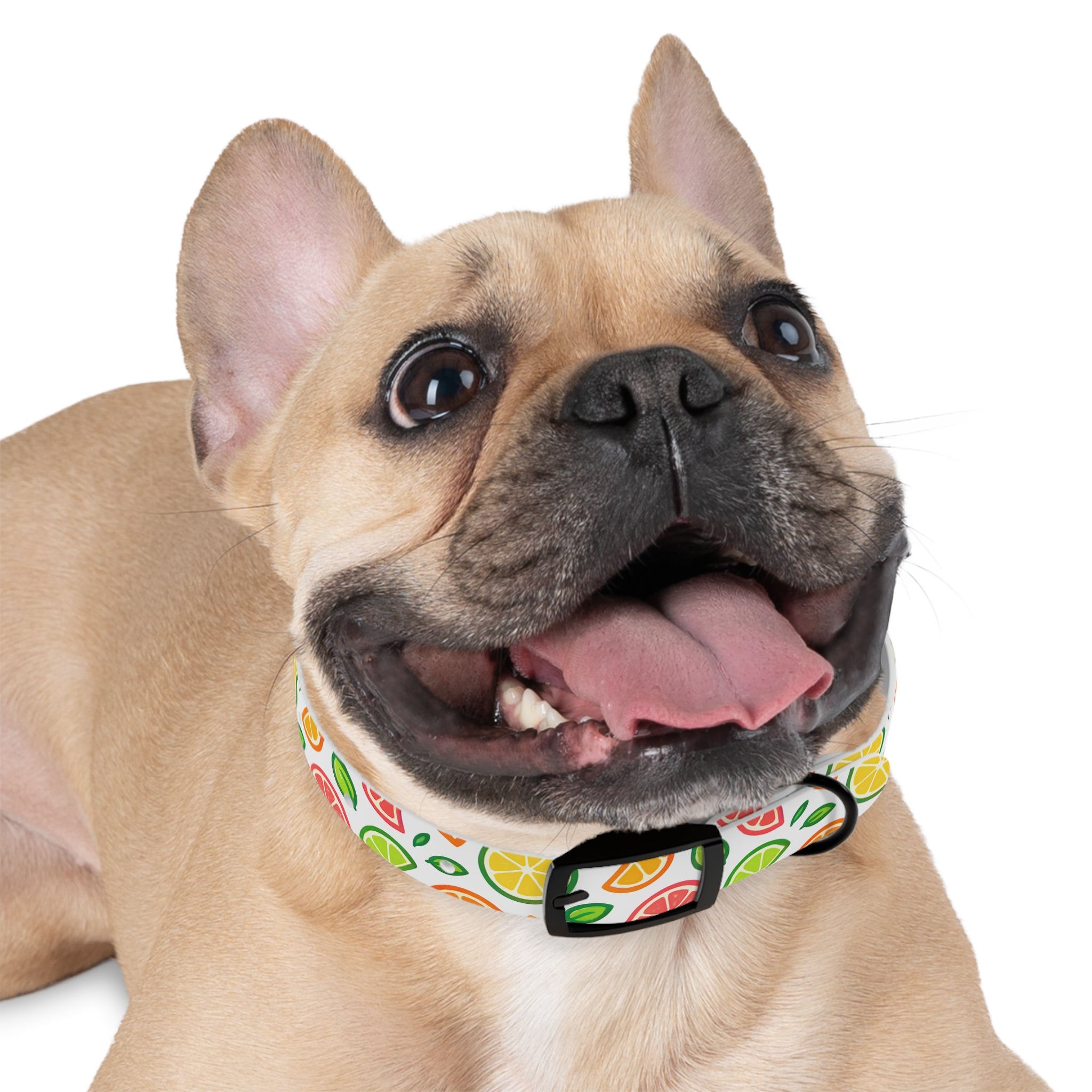 Citrus Spalsh Collar