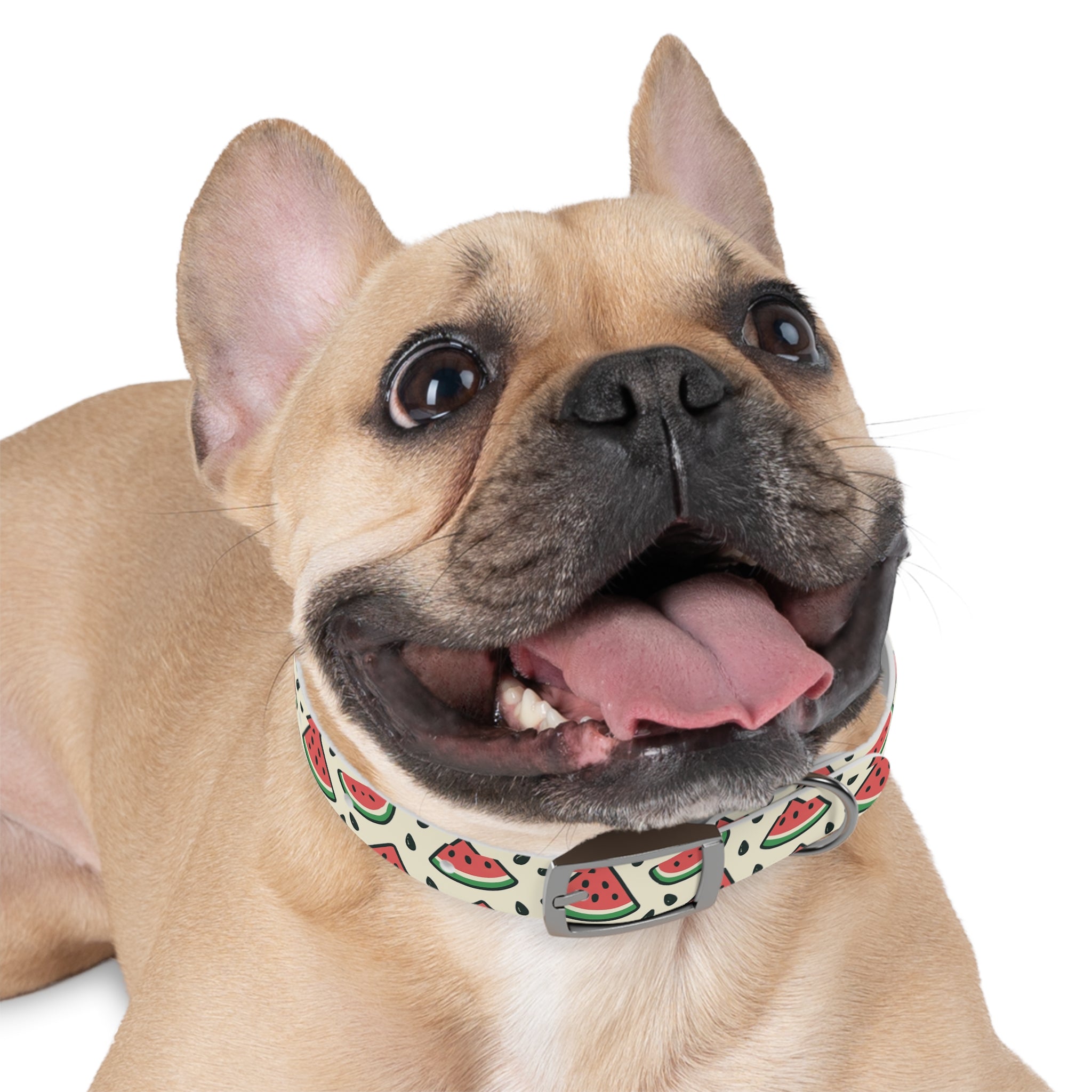 Watermelon Print Collar