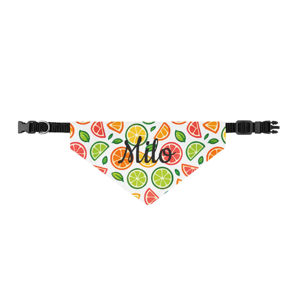 Citrus Fruit Clip-On Pet Bandana