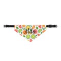 Citrus Fruit Clip-On Pet Bandana
