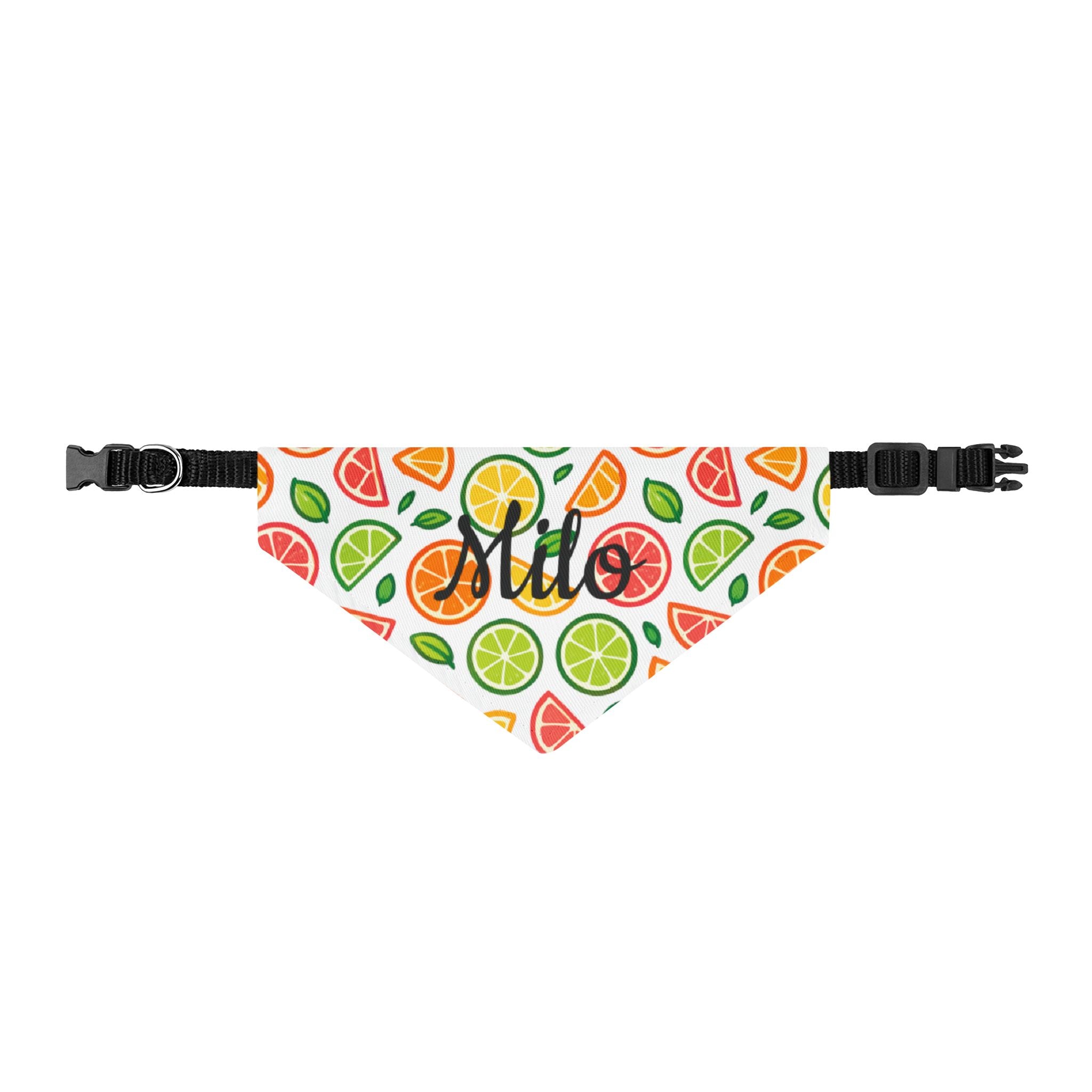 Citrus Fruit Clip-On Pet Bandana