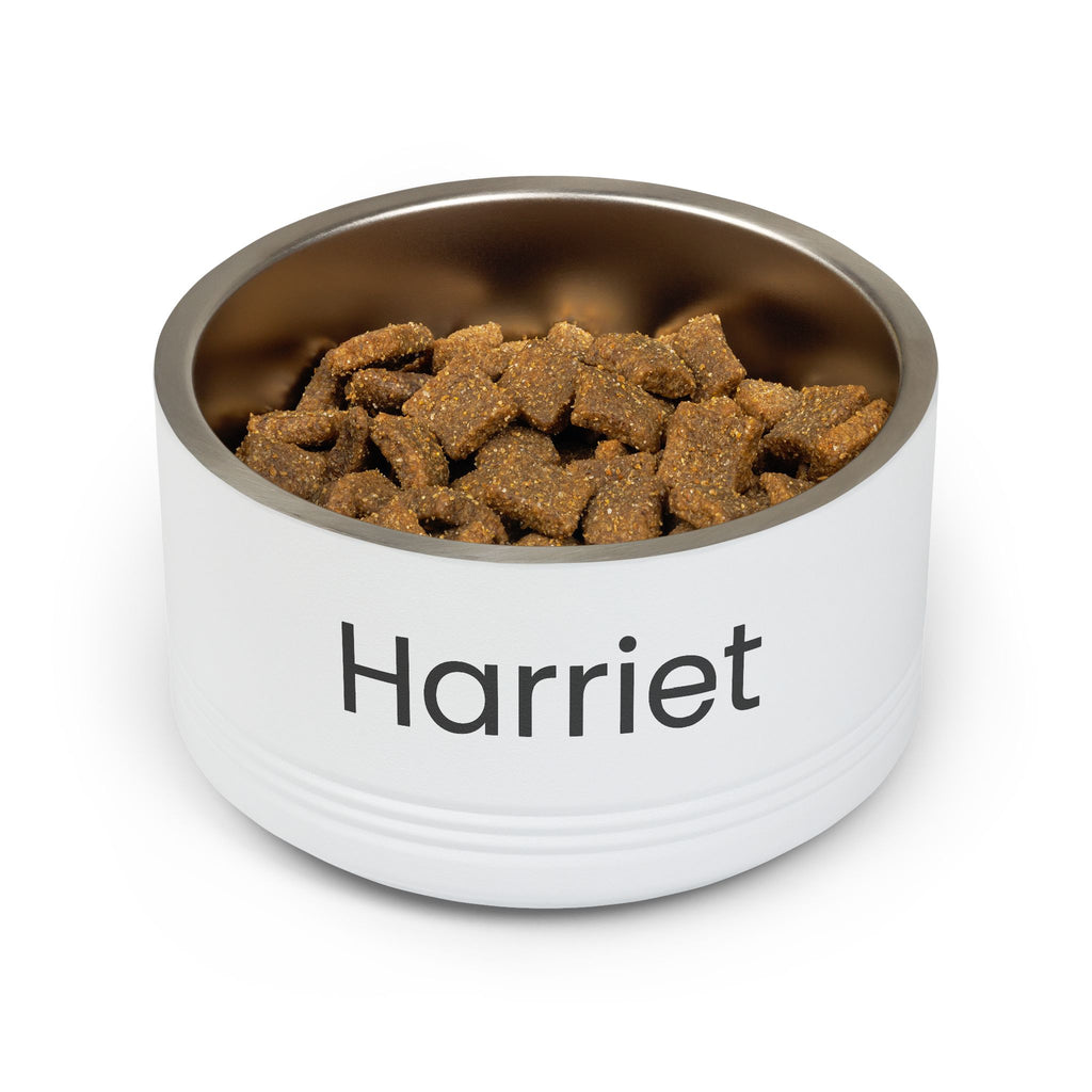 Personalized Stainless Steel Pet Bowl — 18oz