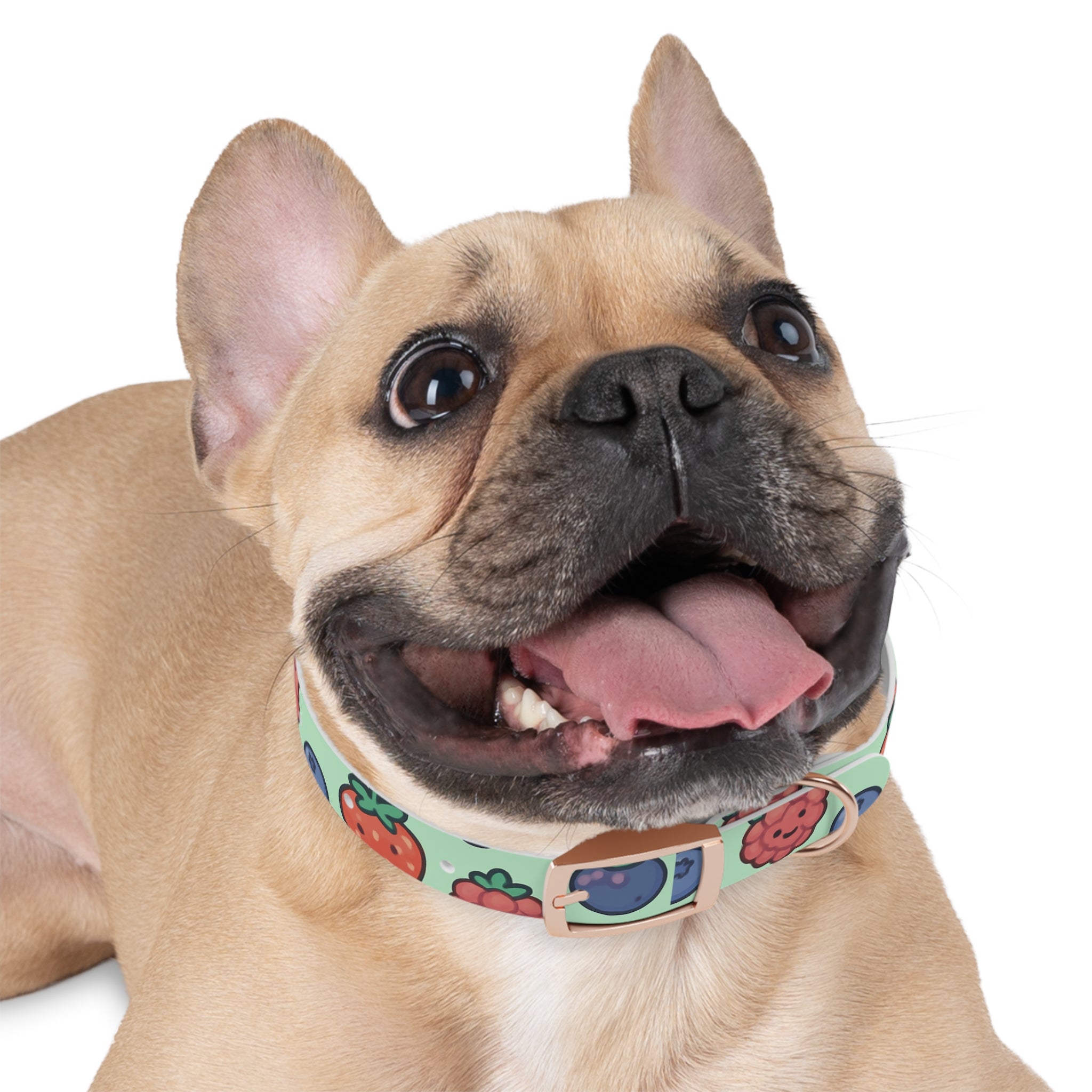 Merry Berry Dog Collar