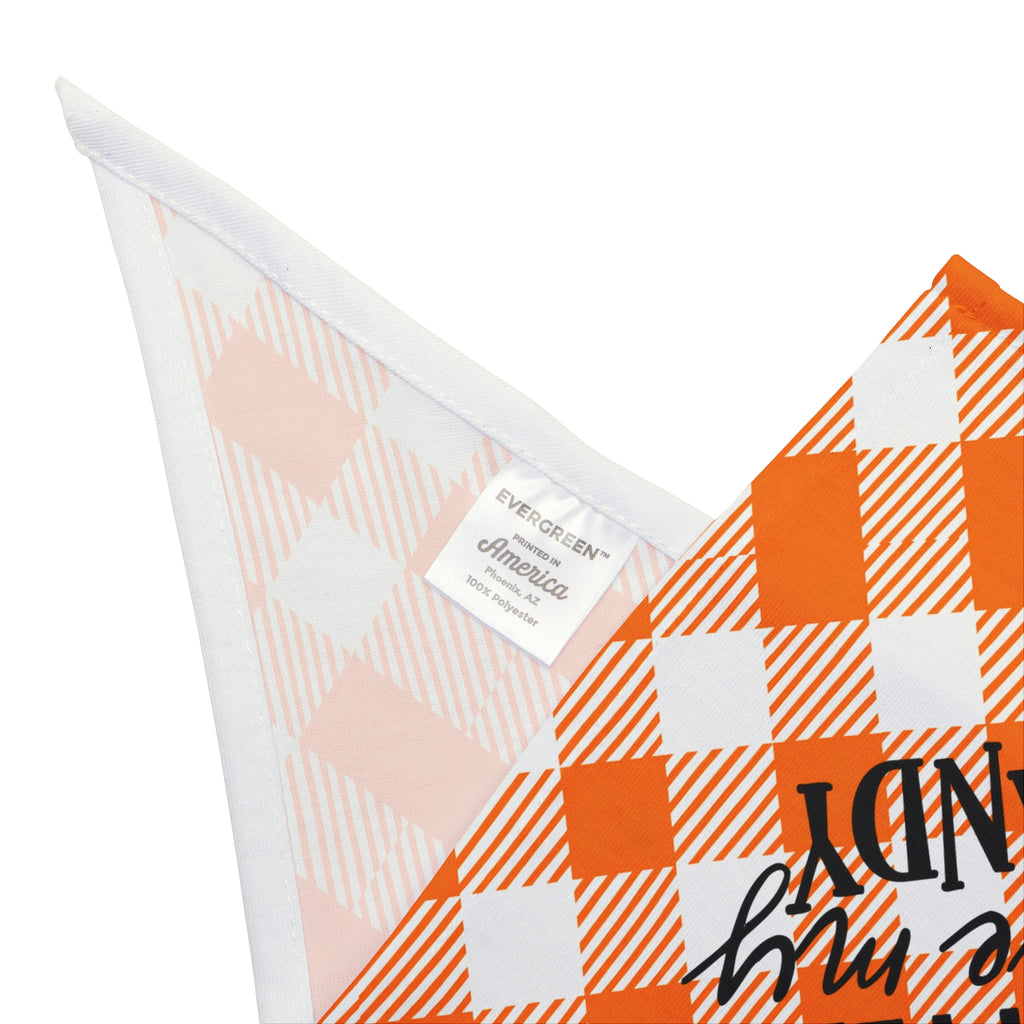 Orange Pet Bandana
