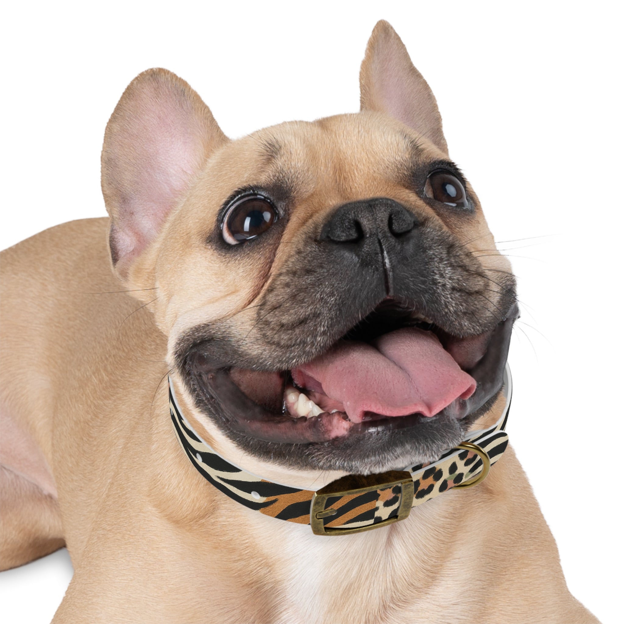 Safari Spots Collar