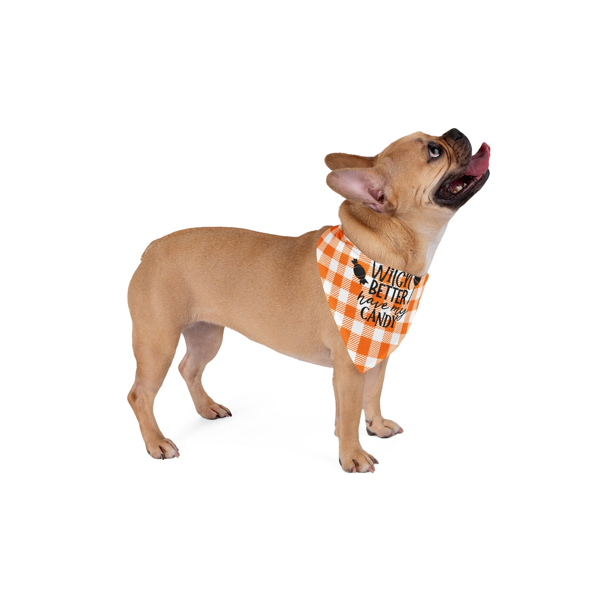 Orange Pet Bandana