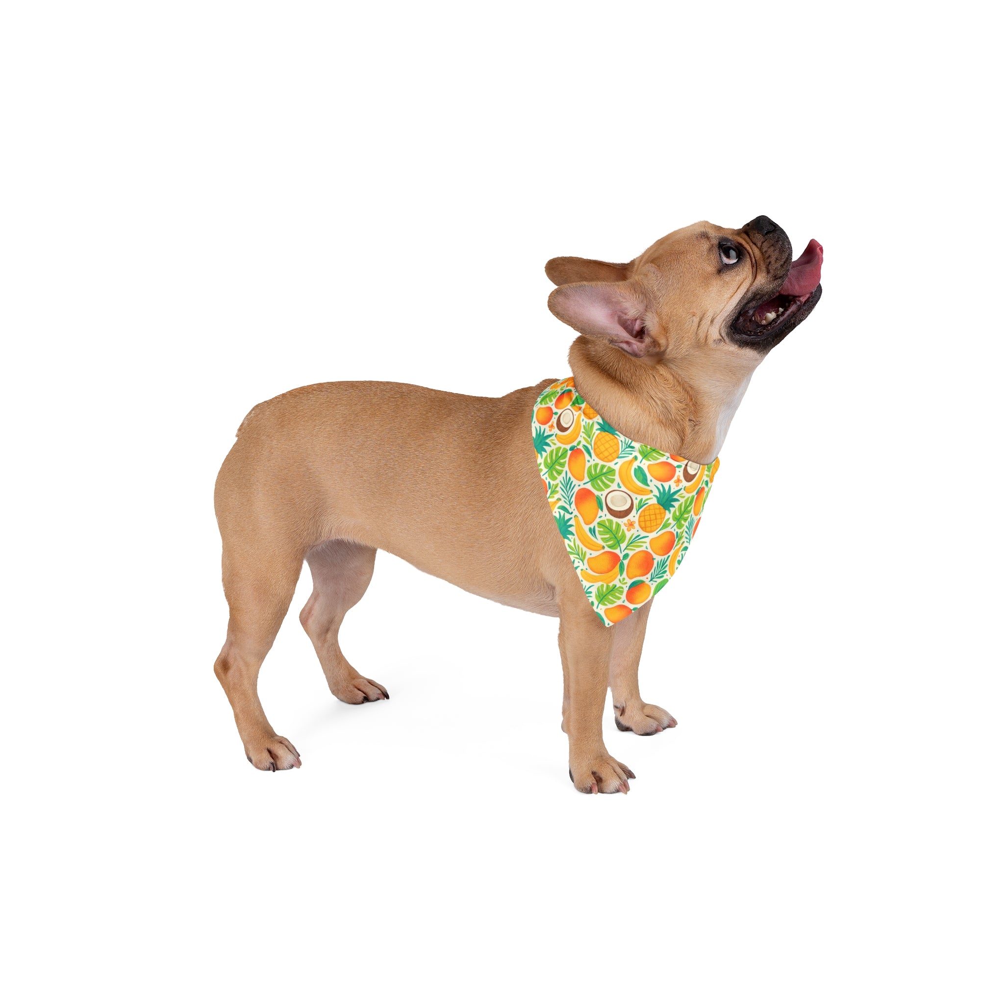 Tropical Fruit Clip-On Pet Bandana