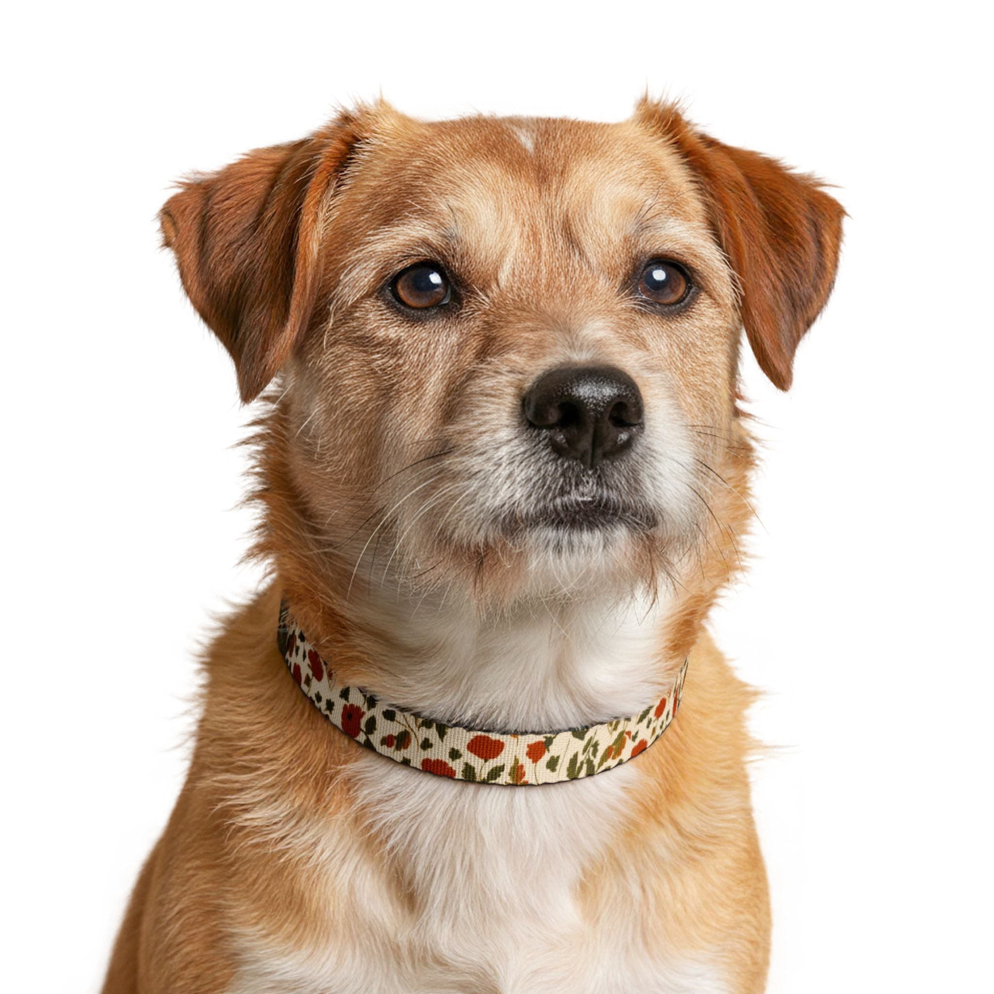 Autumn Fall Floral Clip-On Pet Collar