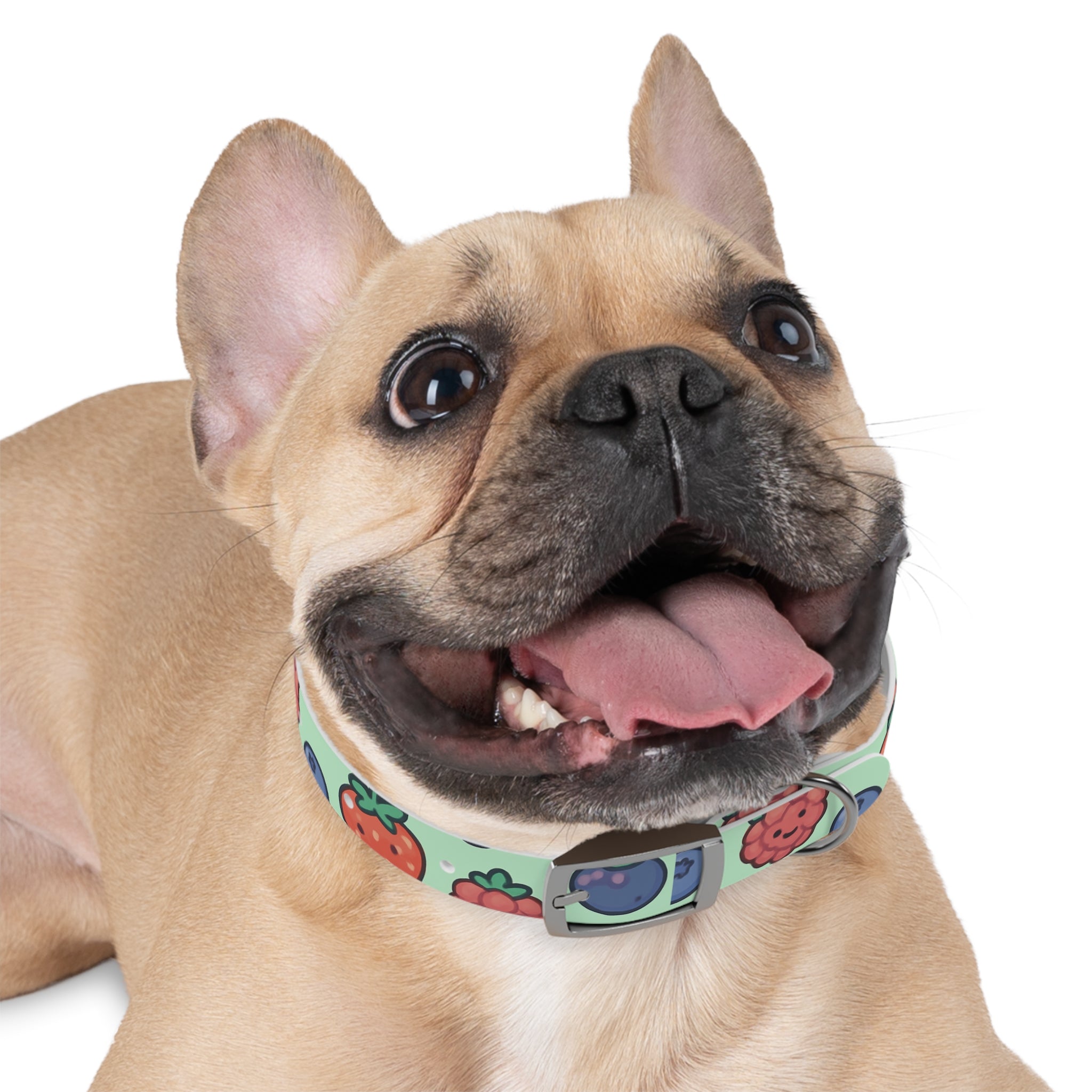 Merry Berry Dog Collar