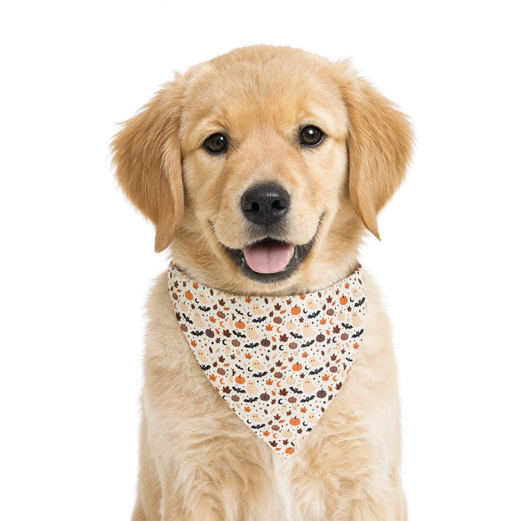 Off-White Halloween Pumpkin & Bat Bandana Scarf