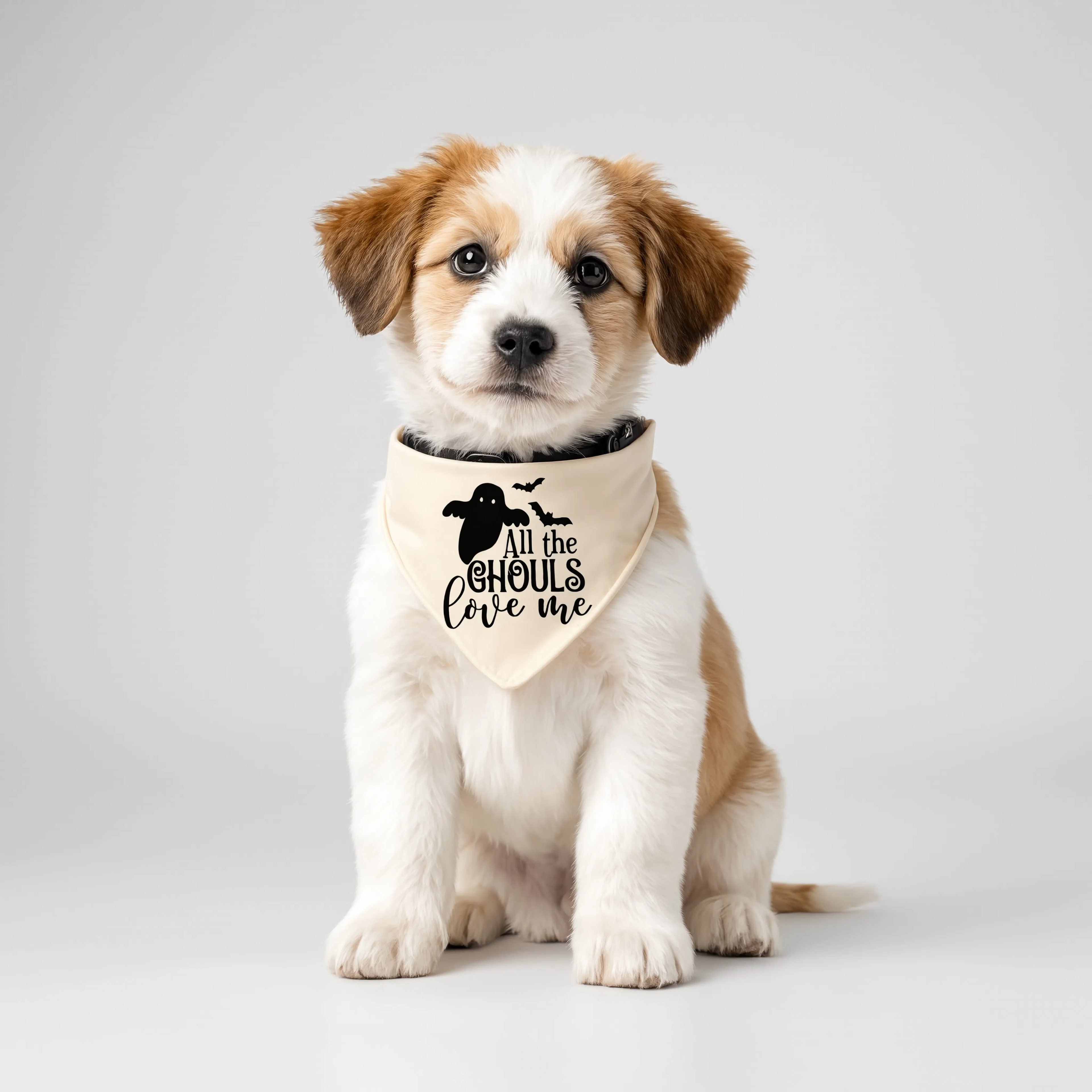 "All the Ghouls Love Me"  Halloween Clip-on Pet Bandana