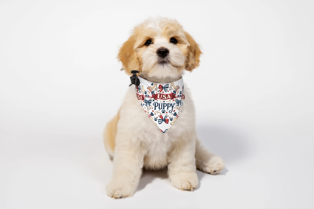 Patriotic USA Puppy Clip-On Bandana